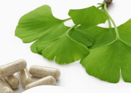 Ginkgo Biloba